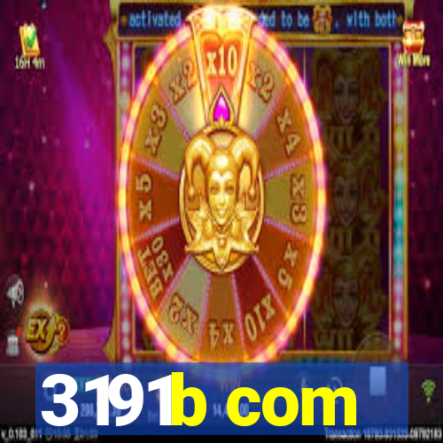 3191b com